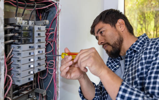 Best Electric Panel Repair  in Cheney, KS